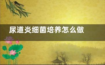 尿道炎细菌培养怎么做,尿道炎 培养